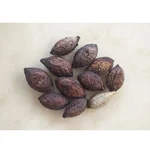 Terminalia Catappa (Indian Almond Tree Seed) (250g)