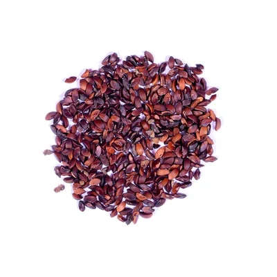 Indian Gooseberry Tree Seed (100 Seeds) - Nellikai Maram Seeds
