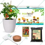 Ecofynd GROWKIT011 DIY Grow Kit for Cherry Tomato DIY Easy Grow Kit for Home and Garden Beginner Gardening Set 