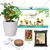 Ecofynd GROWKIT011 DIY Grow Kit for Cherry Tomato DIY Easy Grow Kit for Home and Garden Beginner Gardening Set 