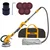 INGCO 1050 Watt Drywall Sander Machine with Auto Dust Collection Storage Bag (DWS10501)