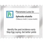 20 Pcs Insect Lures Tobacco Moth, Cocoa Moth (Ephestia elutella)