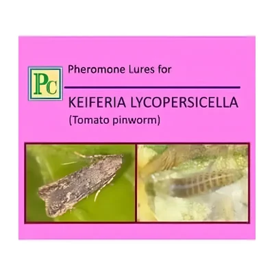 20 Pcs Insect Lures For Tomato Pinworm (Keiferia lycopersicella)