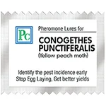 20 Pcs Insect Lures for Yellow Peach Moth (Conogethes Punctiferalis)