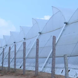 High Quality 105 GSM UV Stabilized Insect Net | 40 Mesh(Size-3.6 x 50 meter)