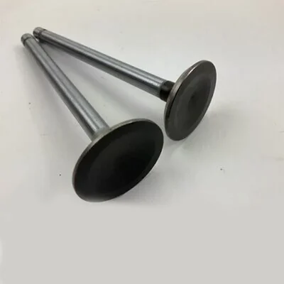 Intake/Exhaust Valve, For 4 Stroke 178F Diesel Power Tiller, 545