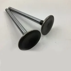 Intake/Exhaust Valve, For 4 Stroke 178F Diesel Power Tiller, 545