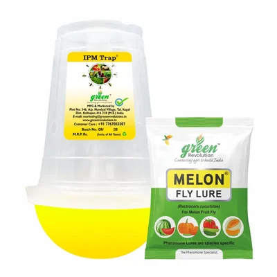Green Revolution Highly Effective IPM Insect Trap with Melon Fly Lure(Pack-10 pcs)