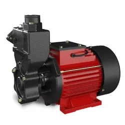 Kirloskar 1 HP 3Phase Self Priming Monoblock Pump, 48m Max. Head, 25X25mm (MINI JALNAYAK-I (GOLD)) - 2 Years Of Warranty