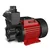Kirloskar 1 HP 3Phase Self Priming Monoblock Pump, 48m Max. Head, 25X25mm (MINI JALNAYAK-I (GOLD)) - 2 Years Of Warranty
