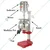 Kalsi Commercial 3.5 Litre Lassi Machine with SS Parts