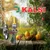 Kalsi No.18 Hand Crank Pulpy Fruit Juicer (Mango,Orange) with SS Rod, CI Wheel & 4.2 Inches Hopper Dia