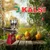 Kalsi Stainless Steel Hand Crank Citrus Fruit Juicer(Orange, Mosambi)Machine, No.10 with 3 inch Hopper Dia