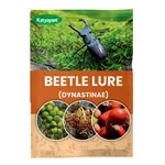 Katyayani Beetle Lure | Dynastinae