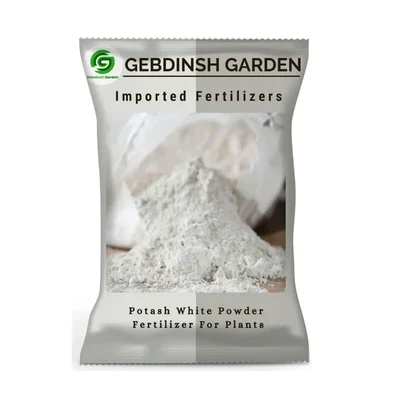 GEBDINSH White Potash Powder 500 Gram Farm & Garden Fertilizer Water Soluble Fruit & Flower Growth Booster