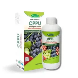 Katyayani Forchlorfenuron-0-1-cppu | Plant Growth Regulator | 250 ml(Pack-AfmBOooj96SOXpuX76vW4_6xvrmfWuHI0gru3_kL-JxWmtXDR1lwG6iS)