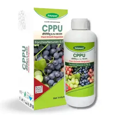 Katyayani Forchlorfenuron-0-1-cppu | Plant Growth Regulator | 1 liter(Pack-1 x 1 liter)