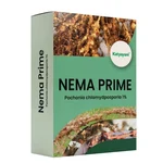 Katyayani Nema Prime | Pochonia Chlamydposporia 1% | Bio Insecticide Powder | 1 kg