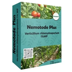 Katyayani Nematode Plus | Verticillium Chlamydosporium 1% wp | 1 kg(Pack-1 x 1 kg)