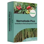 Katyayani Nematode Plus | Verticillium Chlamydosporium 1% wp | 1 kg