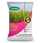 Katyayani NPK 19-19-19 | 100% Water Soluble Fertilizer | 1 kg