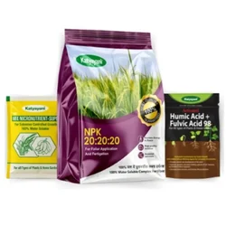 Katyayani NPK 20-20-20 with 2 Sample Mix Micronutrients and Organic Humic Acid  | 3 in 1 Pack | 1 kg(Pack-1 x 1 kg)
