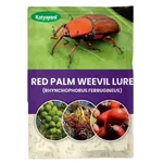 Katyayani Red Palm Weevil Lure | Rhynchophorus Ferrugineus