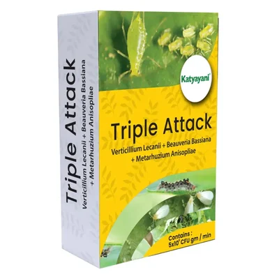 Katyayani Triple Attack | Verticillium Lecanii + Beauveria Bassiana + Metarhizium Anisopliae Powder | 1 kg(Pack-1 x 1 kg)