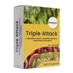 Katyayani Triple Attack | Verticillium Lecanii + Beauveria Bassiana + Metarhizium Anisopliae Powder | 1 kg