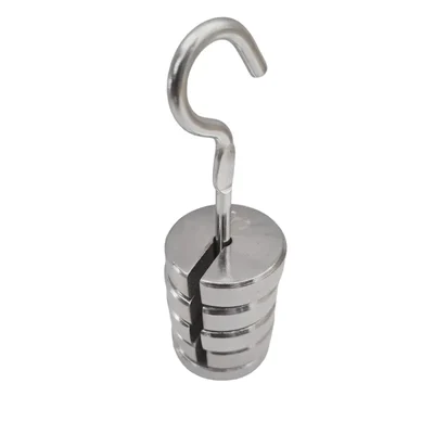 SBT Instruments Slotted Weight Set- 1 Hanger & 4 Chrome Plated Iron Weights (50gx5) for Experiments