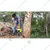 Kisankraft AY-CSP-6118, 58-cc, Petrol Chainsaw with 18 inch Guide Bar | Ideal for Cutting Tree and Landscaping
