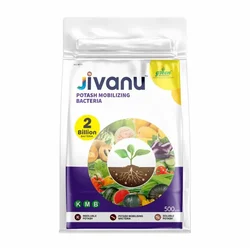 Jivanu 500 gm KMB Potassium Solubilizing and Mobilizing Bacteria Powder