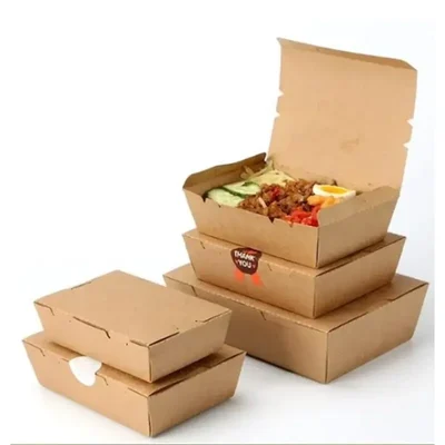 500ml Disposable Kraft Paper Boxes, Paper Containers for Restaurant Food Takeaway || Pack of 50(Color-Brown)
