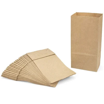 Pack of 40 | 80 Gsm, Disposable Imported Kraft Paper Pouch | Pack of 1 kg (10.5"x8.5"x5") for Picnic & Travel
