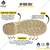 Krieger KR1002 Hi-Ankle Trekking, Biker & Army Boot, Anti-Skid Sole, M4 Tech in-Socks, Beige(Size-5)