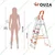 Houza 5 Step 250 Kg Load Capacity Anti Slip Aluminium Foldable Ladder With Railing (HZ-WR-05-01)