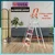 Houza 5 Step 250 Kg Load Capacity Anti Slip Aluminium Foldable Ladder With Railing (HZ-WR-05-01)