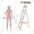 Houza 6 Step 250 Kg Load Capacity Anti Slip Aluminium Foldable Ladder (HZ-AQUA-06-01)
