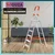 Houza 6 Step 250 Kg Load Capacity Anti Slip Aluminium Foldable Ladder (HZ-AQUA-06-01)
