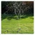 Falcon Spanco SP-1010, 3 Way Sprinkler