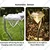 Single LED Diamond Solar Waterproof Automatic Outdoor Garden Stake Lamp for Designed For Pathway and Garden (Pack of 4)