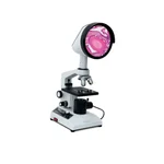 Blisco 5W LED Student BLS-125 Projection Microscope for Group Demonstration 150mm Screen