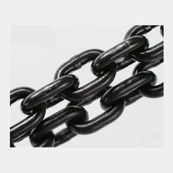 Globe 10 mm Diameter Load Chain for 10 Ton Chain Pulley Block(Chain Length-6 mtr)