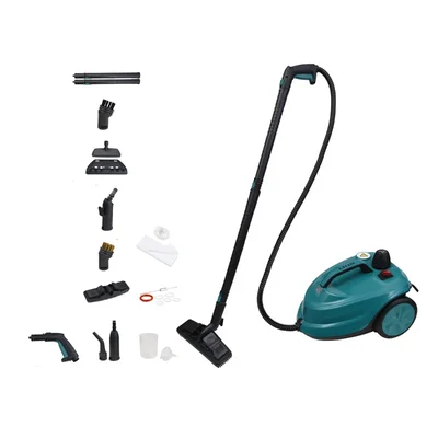 Lion LI-02S 2000 W Steam Cleaner with 2 Liters Tank Capacity