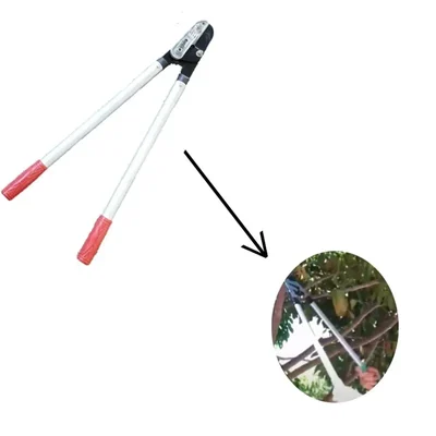 Lopper Anvil Type Ratchet Type For Garden Purposes