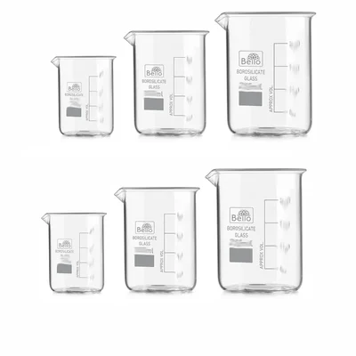 SBT Instruments Borosilicate Glass Beaker Pack of 6 Set - 500ml (2pcs), 250ml (2pcs), 100ml (2pcs) | Low Form with Spout