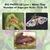 Combo Pack of - BIO PHERO LO (Lucinodes Orbonalis) 10 Lures & 10 Water Traps for Brinjal Fruit & Shoot Borer