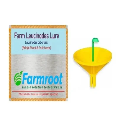 FARMROOT Leucinoides Lure (Brinjal) With Water Trap | (Pack of 1 Piece)(Quantity-1 Piece)