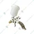 Somani 1/4 Pint Spray gun with 100 ml Cup Capacity and Aircup of Brass Material