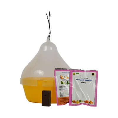 WAVAR Macphil Trap with Bactrocera Dorsalis Lure(Pack-1 Trap and 1 Lure)
